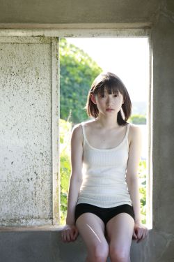 与狼共舞电视剧