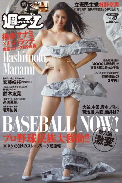燃烧的陀螺仪